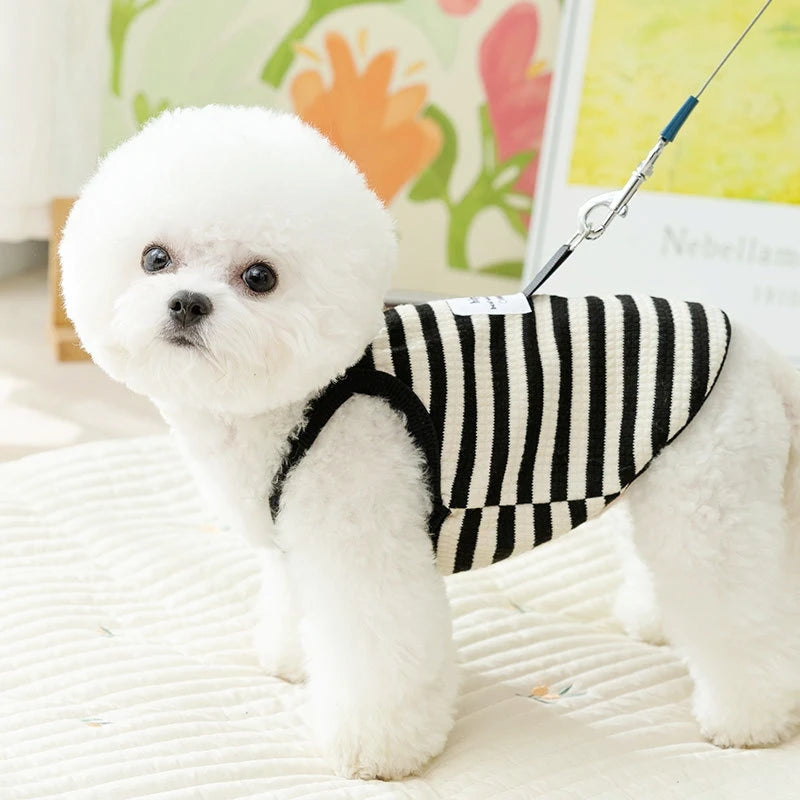 Summer vest for dogs – striped cotton vest, suspenders