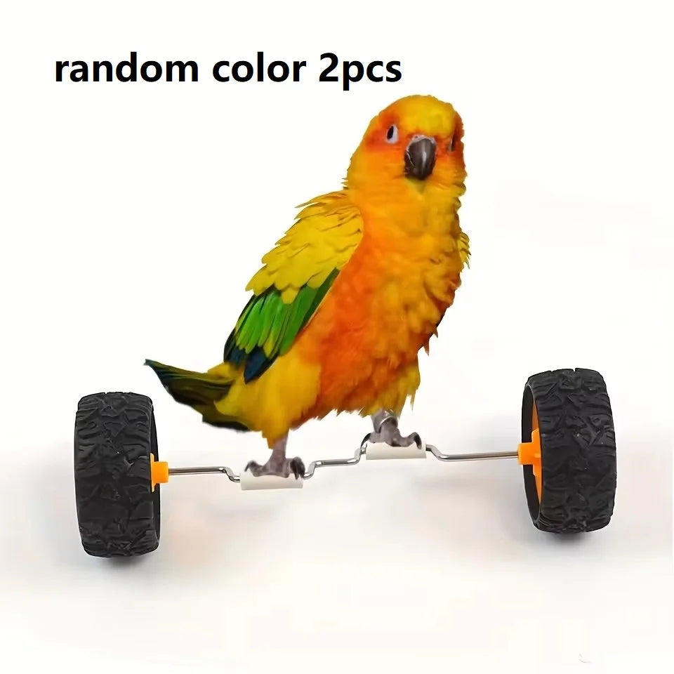 Mini Bird Bicycle – Balance and Intelligence Training for Parrots