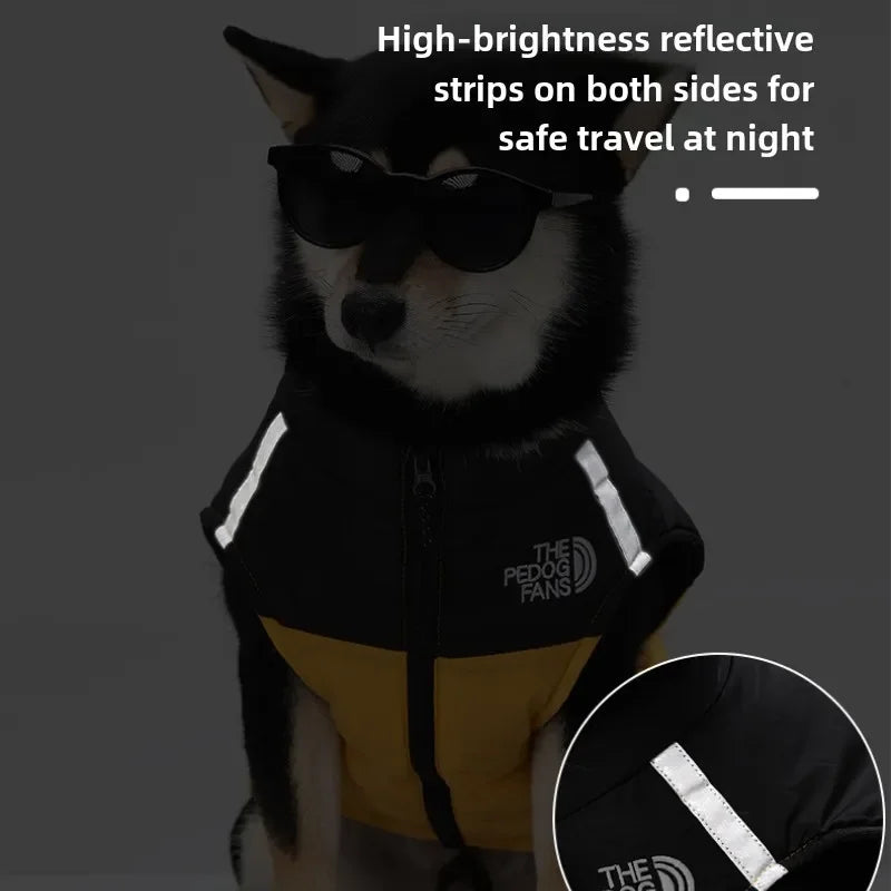 Winter dog jacket – padded, warm, with reflectors