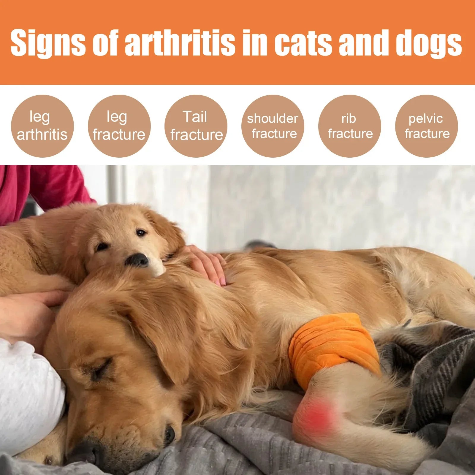 Pet Joint Care Drops, Bone Deformities Healing, Relieves Discomfort, Joint Repair Supplement, Anti-Itching Dog Joint Care Solution