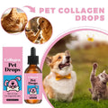 Multi-Care Pet Collagen Oral Drops for Dogs and Cats, Hair, Skin, and Joint Health Daily Nutritional Supplement, Pet Grooming Supply
