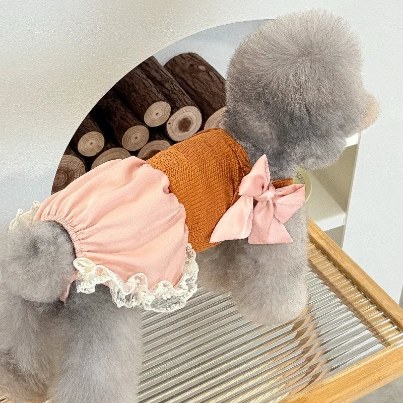 Pet Summer Lace Clothes Silk Jumpsuit Split Tank Top Bow Bubble Lace Half Skirt Thin Teddy Pet Dog Summer Dresses for Small Dog