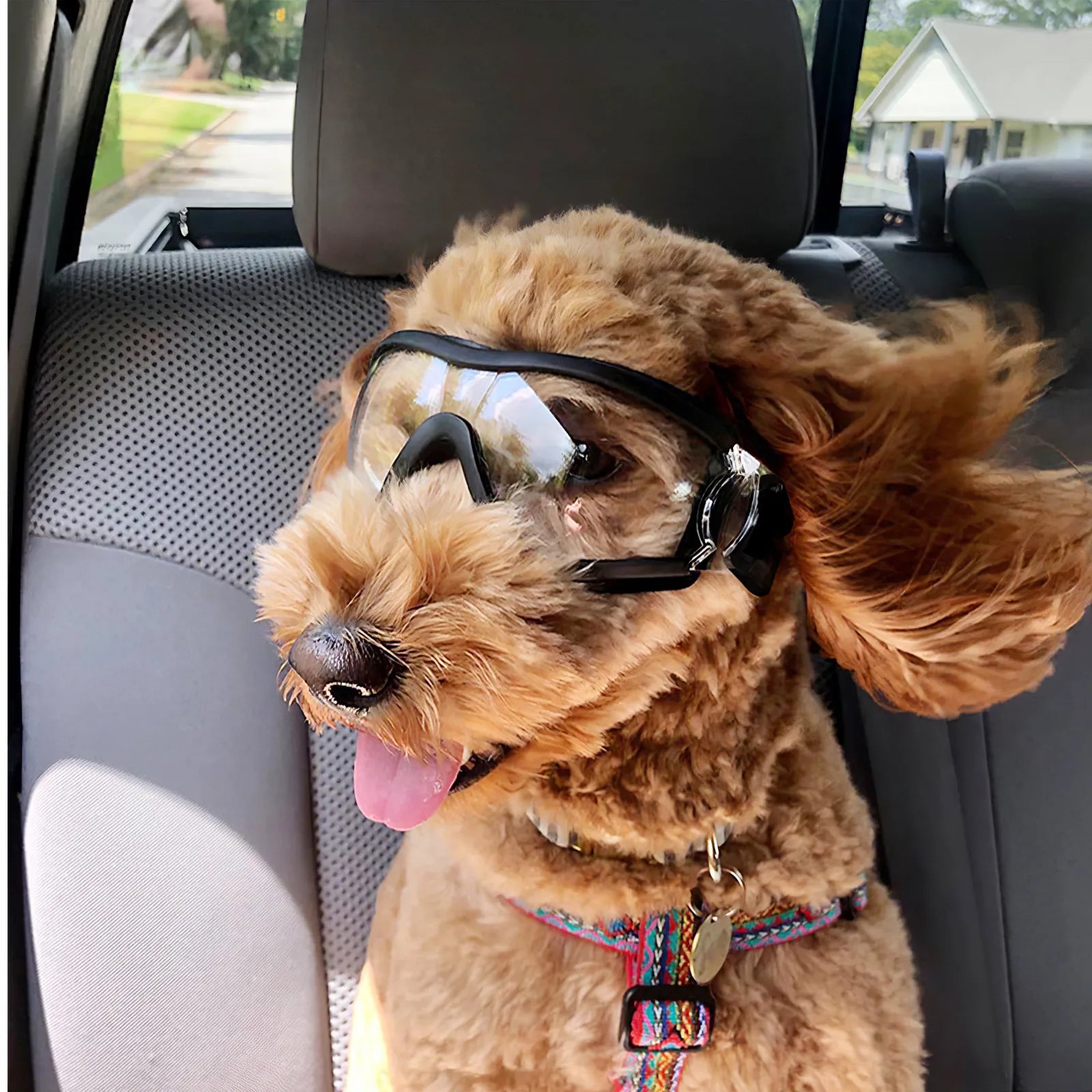 Outdoor Pet Goggles Clear Glasses UV Protection Sunglasses Dog Eye Wear Protective Pet Outdoor Goggles Puppy Protective Goggles