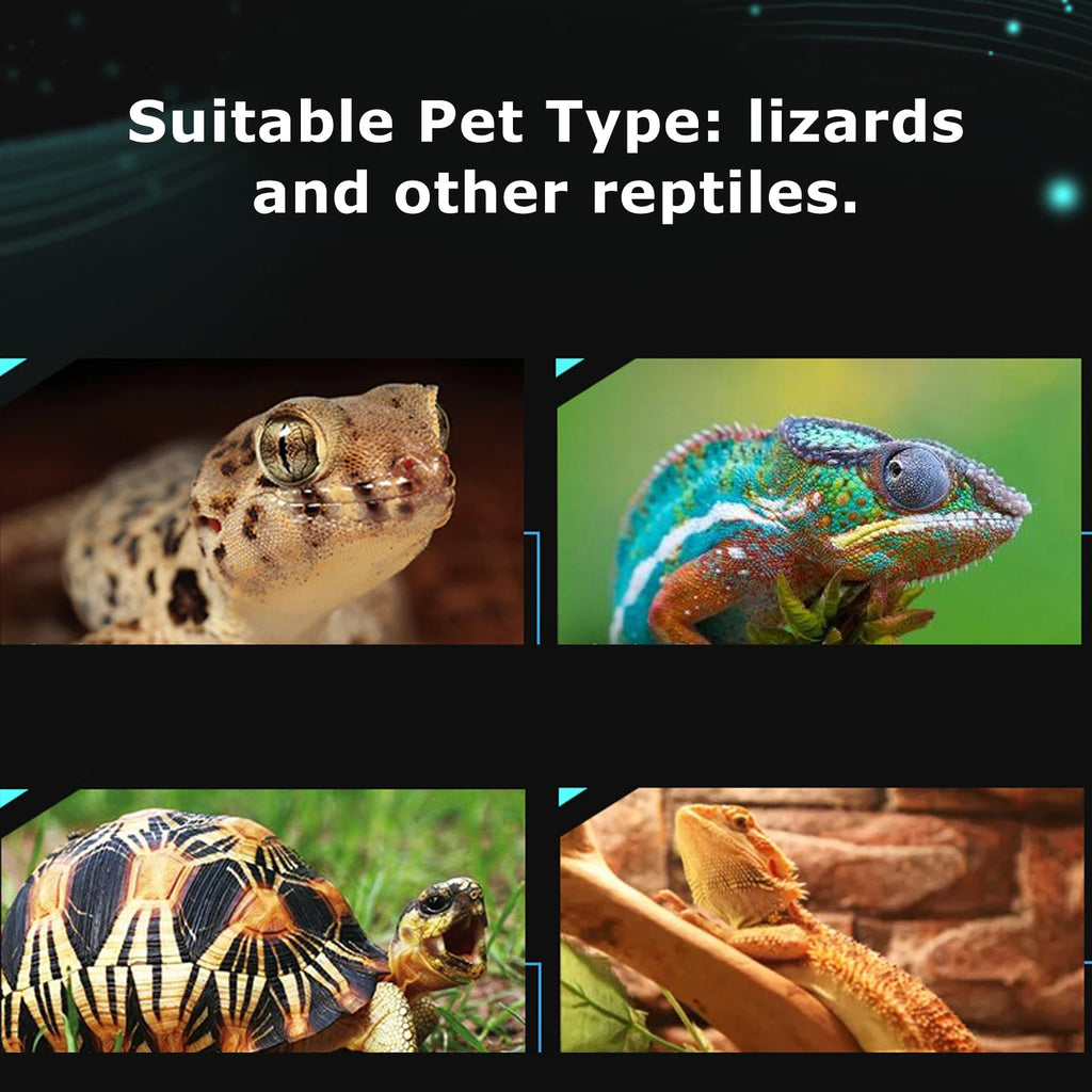 Reptile Temperature Gauge Thermometer Reptile Terrarium Thermometer Hygrometer Digital Display Pet Temperature Gauge