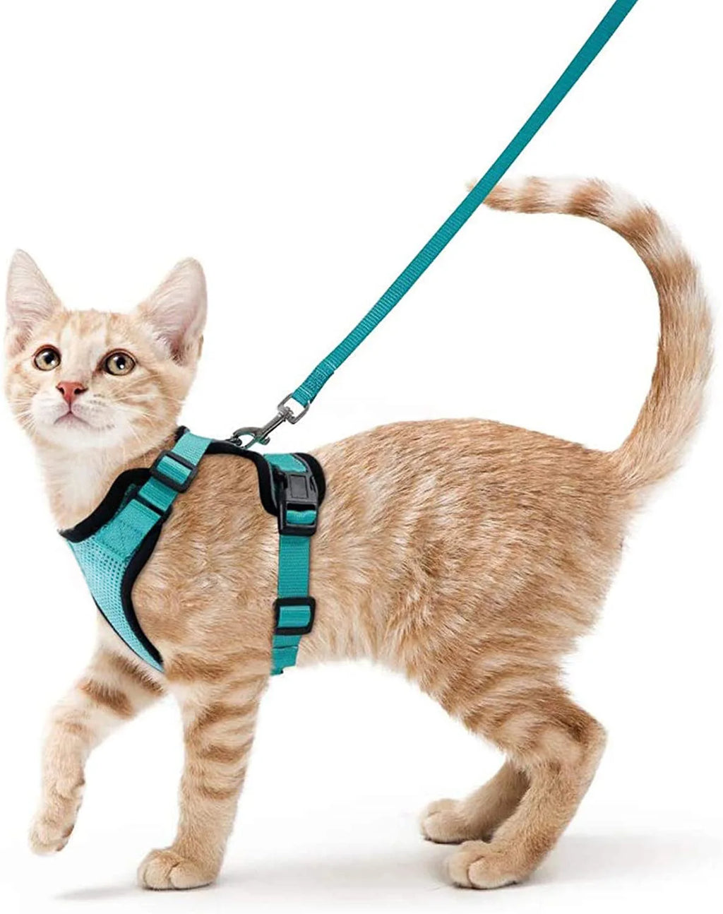 Cat Harness and Leash – soft, adjustable, escape-proof