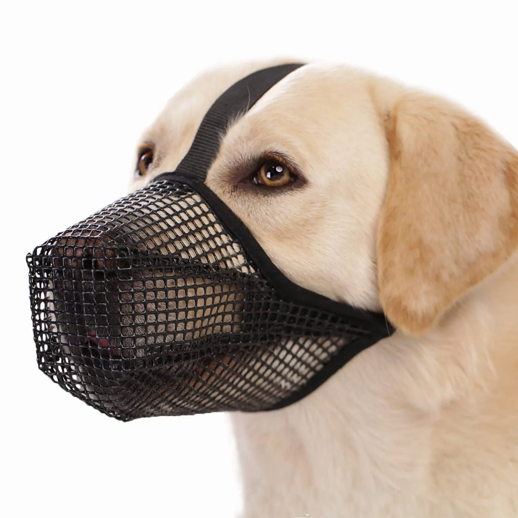 Dog Muzzle, Soft Mesh Covered Muzzles Poisoned Bait Protection with Adjustable Straps, Prevent Biting, Chewing, and Licking