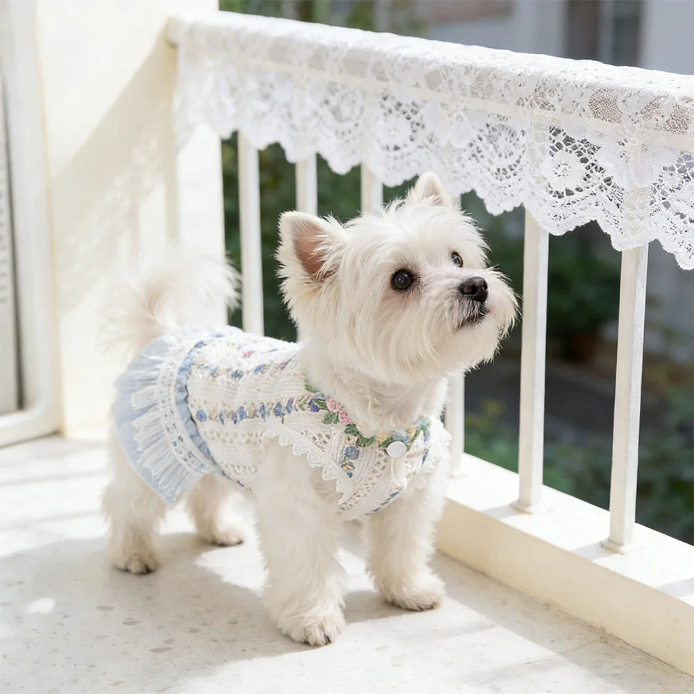 Pet Embroidered Dress Small & Medium Dog Teddy Hollowed-out Vest Puppy Clothes Summer Cat Tassel Dress Spring Pet Clothing