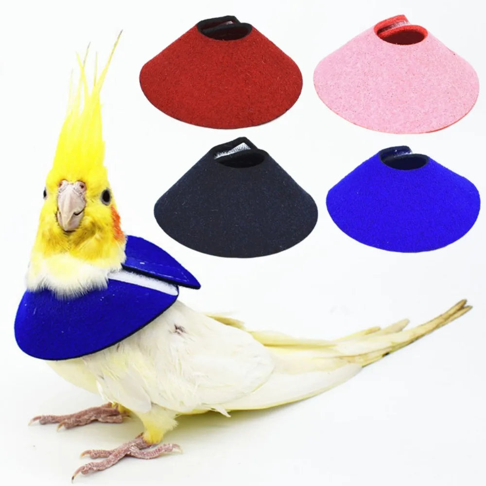 Protective Collar for Birds – Elizabethan Collar, Post-Surgery Recovery
