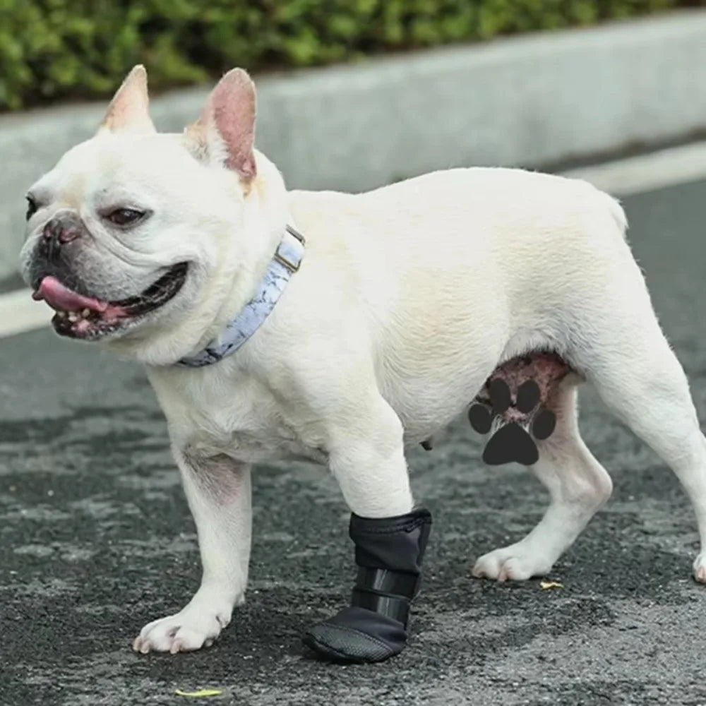 Dog Wound Recovery Boot Paws Protector Waterproof Dog Shoe for Post-Surgical Recovery Healing Protection
