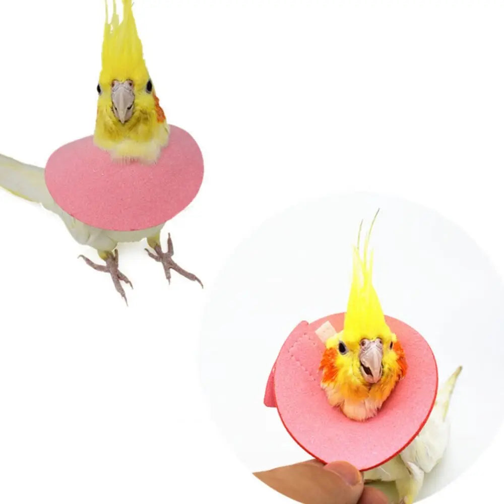 Protective Collar for Birds – Elizabethan Collar, Post-Surgery Recovery