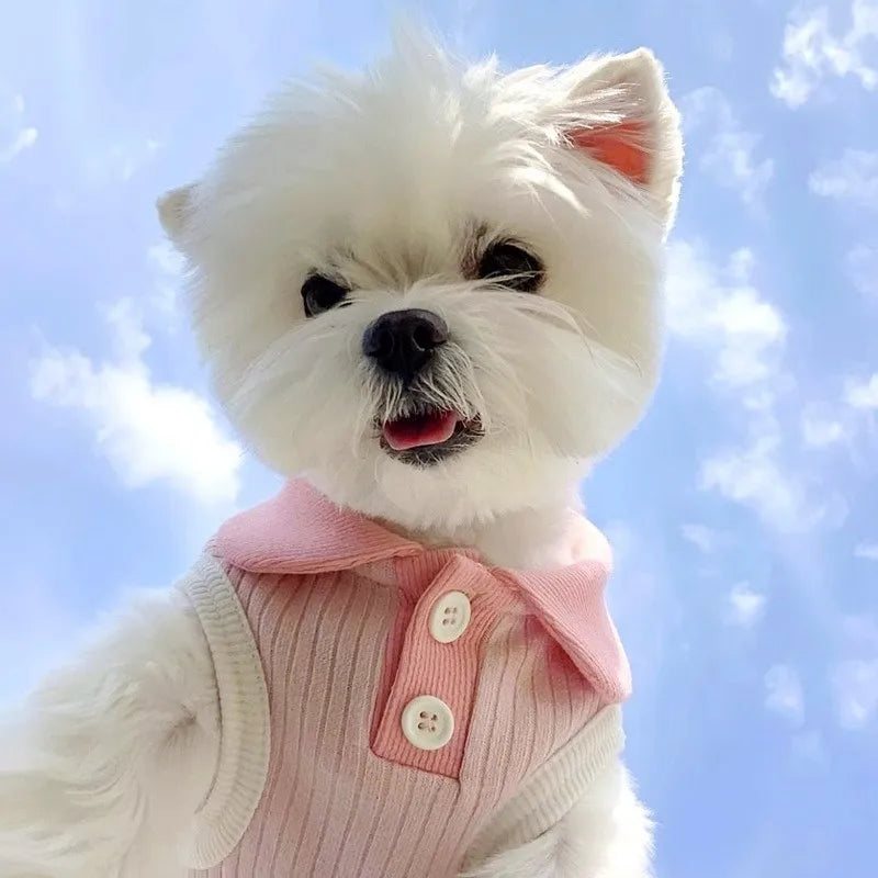 Puppy Summer Clothes for Small Dog Pet Dog Polo Shirt Cat Dog Cooling Vest Chihuahua Yorkshire Bichon Clothing Girls Dog T-Shirt