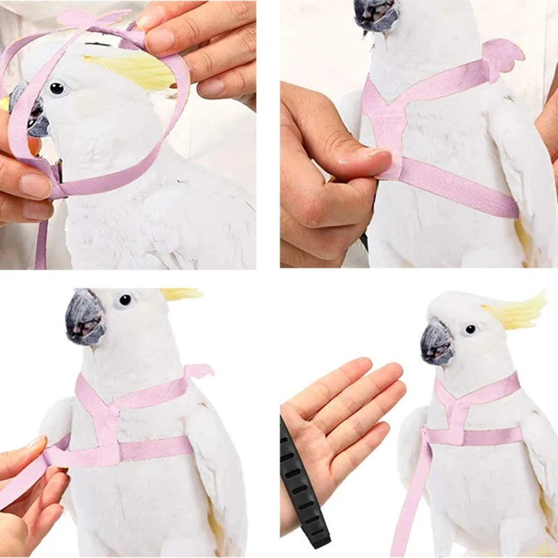 Parrot Flight Training Leash - Elastic, 200 cm, 7 colors
