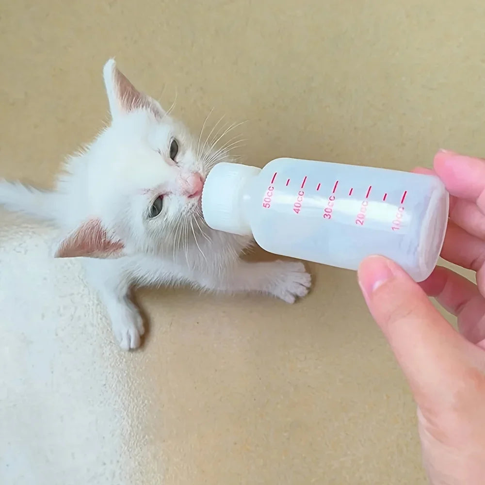 Pet Feeding Set for Cats and Dogs, Soft Silicone Pet Nursing Bottle with Transparent Storage Box, Sanitary, Clean, and Easy to Carry