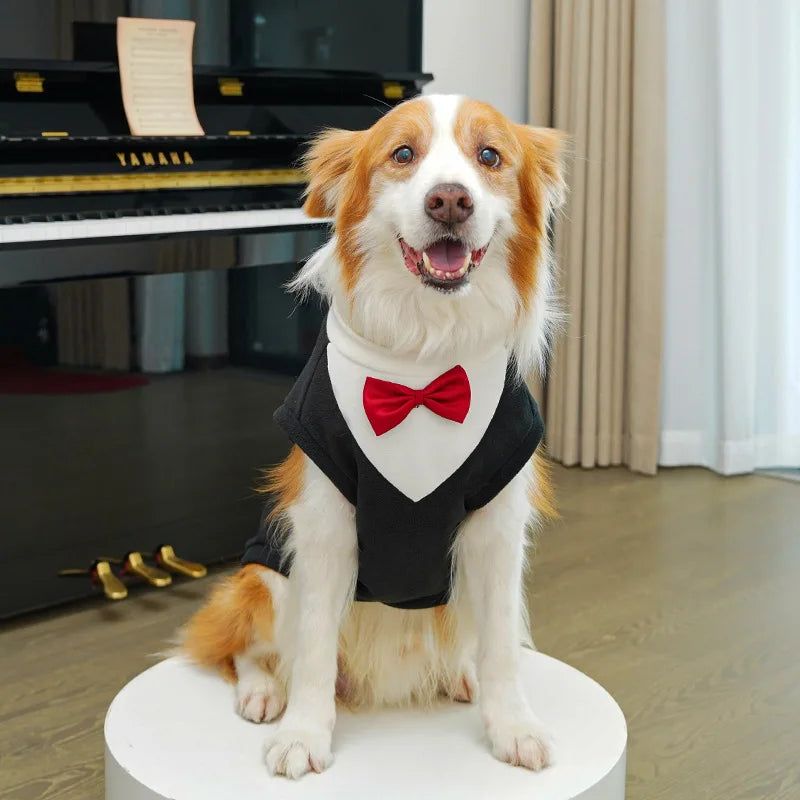 Formal Suits for Small Dogs and Cats – Tuxedo with Bow Tie, Weddings and Celebrations