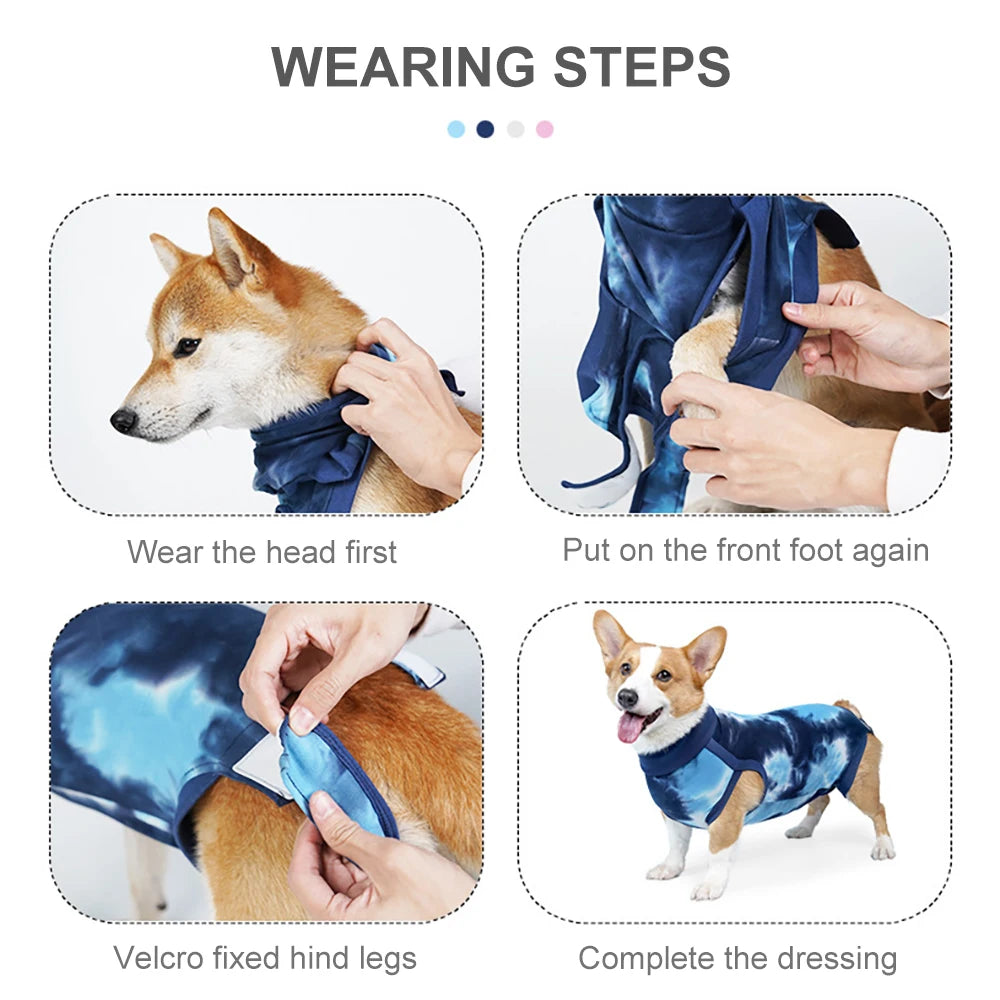 Post-operative suit for dogs – wound protection after surgery