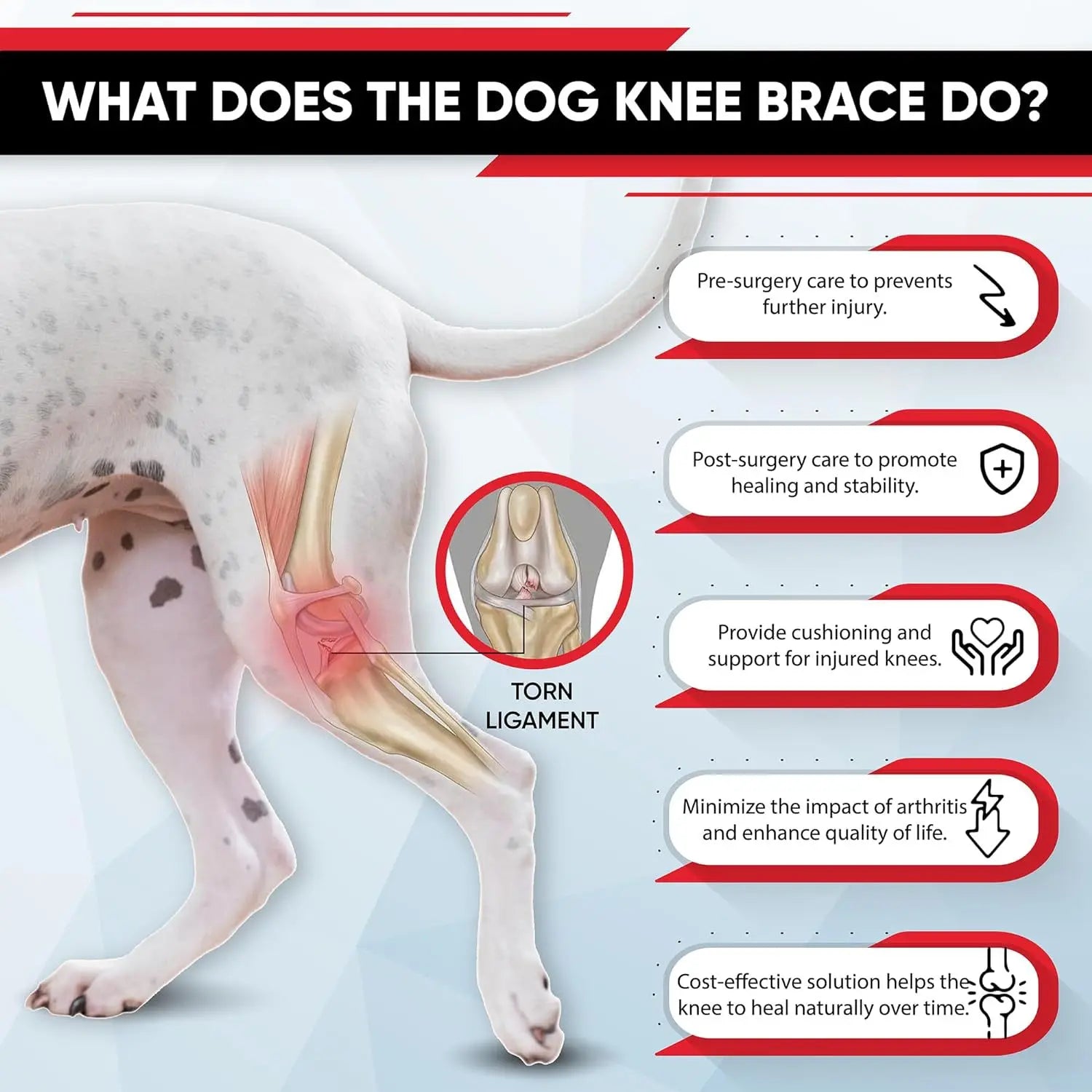 Dog Knee Brace Supports,Better Leg ACL Recovery for dogs,Breathable Pet Braces After Injury Surgery