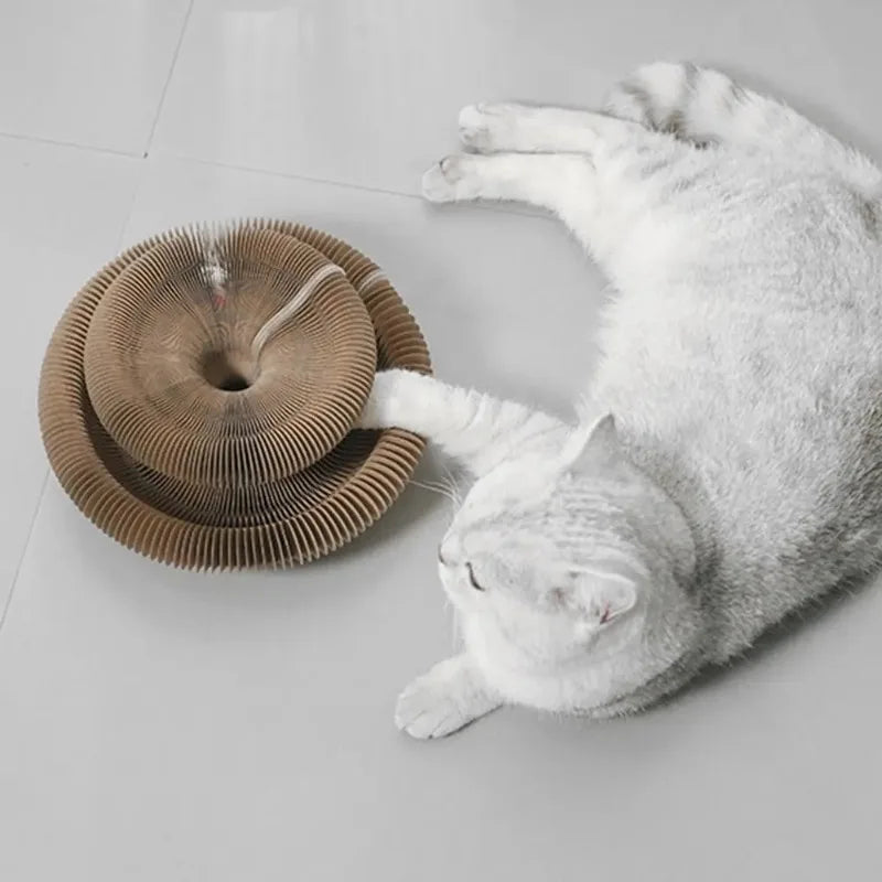 Durable Kitty Kurlz Cat Toy Cat Accordion Magic Organ Cat Scratching Board Cat Toy Ball Scratch Pad Cat Scratcher Kitty Kurlz