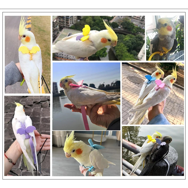 Parrot Flight Training Leash - Elastic, 200 cm, 7 colors