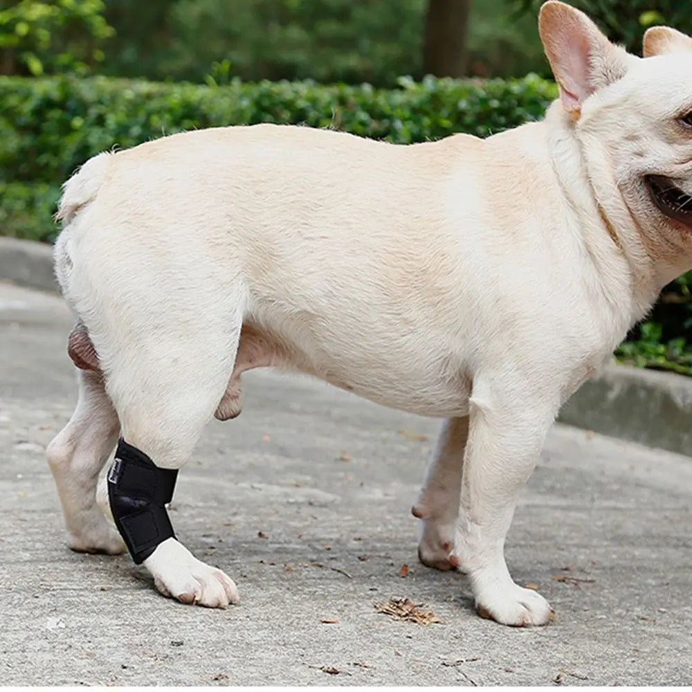 Protective Case Joint Recovery Bandage for Small, Medium, Large Dogs Dog Leg Brace Dog Leg Wrap Dog Support Brace Pet Knee Pads