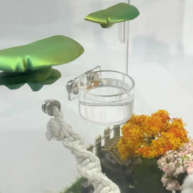 Reptile Insect Feeding Dish Set Mini Magnetic Food Water Bowl With Feeding Clip For Spider Mantis Cricket Enclosure Accessories
