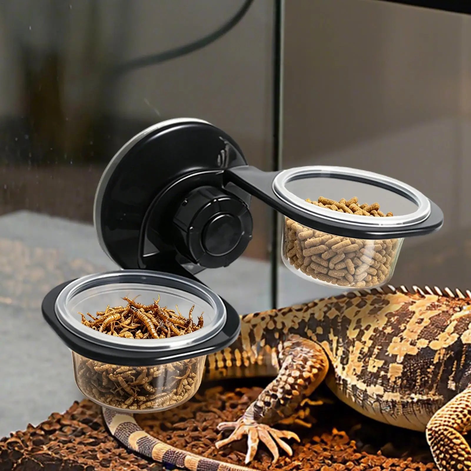 Reptile Food Dish Wall Mounted Removable Feeder Suction Cup Bowls for Turtle Lizard Snake Hermit Crab Leopard Gecko Frog Spider