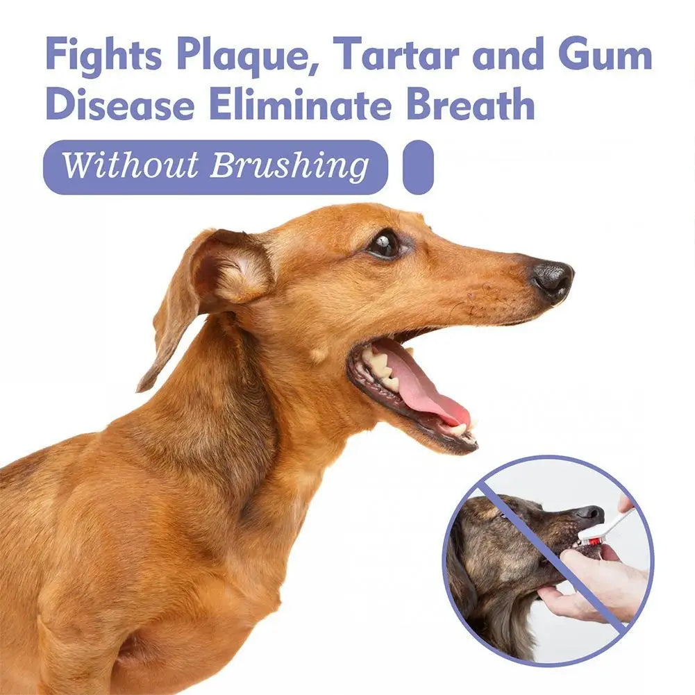 Pet Spray Dog Oral Care 30ml, Pet Freshener, Deodorant for Bad Breath, Teeth Cleaning, Plaque Care Remover, Breath Pet Care