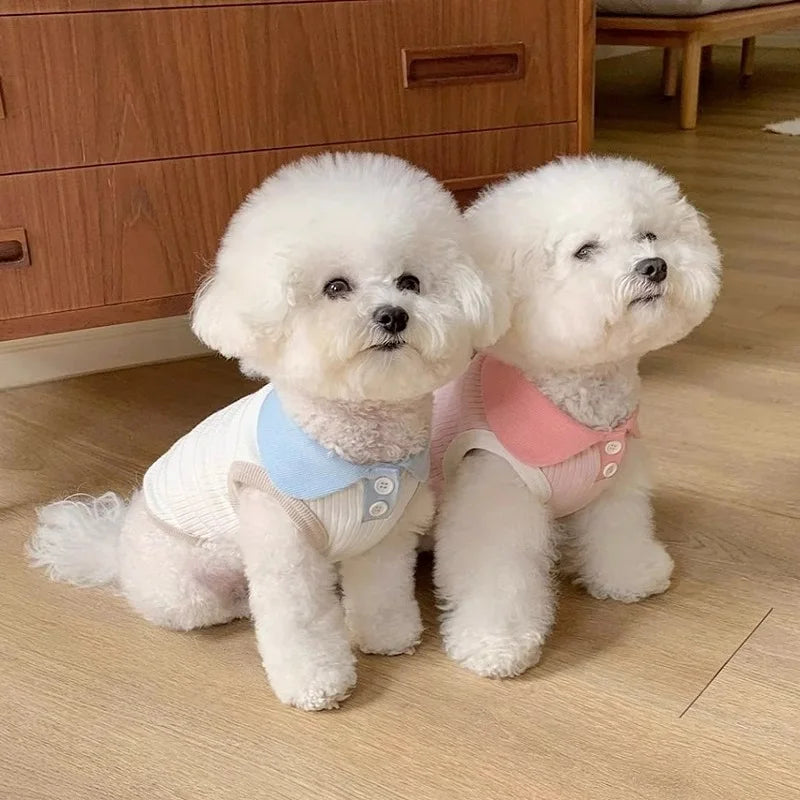 Puppy Summer Clothes for Small Dog Pet Dog Polo Shirt Cat Dog Cooling Vest Chihuahua Yorkshire Bichon Clothing Girls Dog T-Shirt