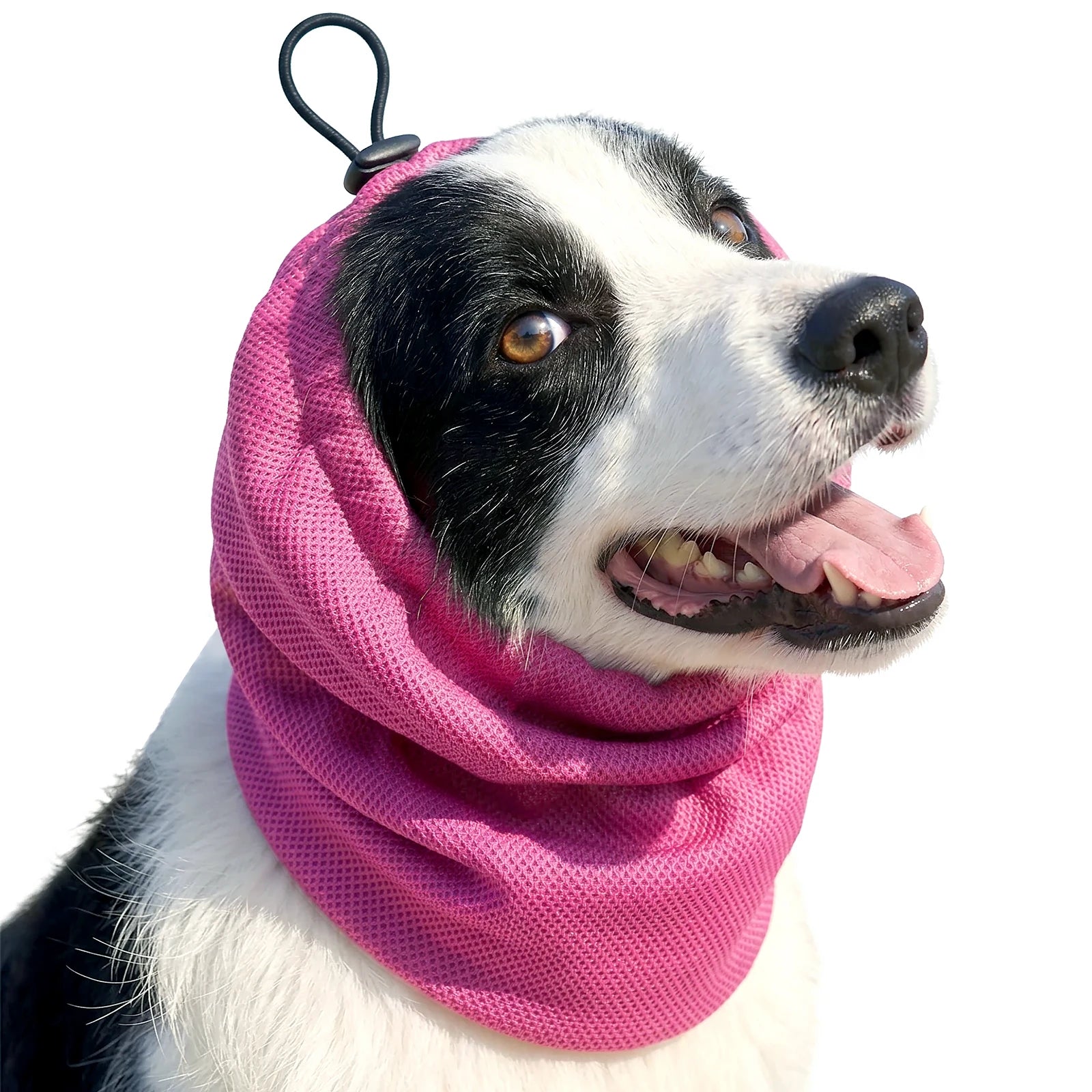 Dog Cooling Bandanas Neck Wraps Ice Scarf Pet Dog Cooling Collar Hunting Training Hiking Camping Accessories for Summer