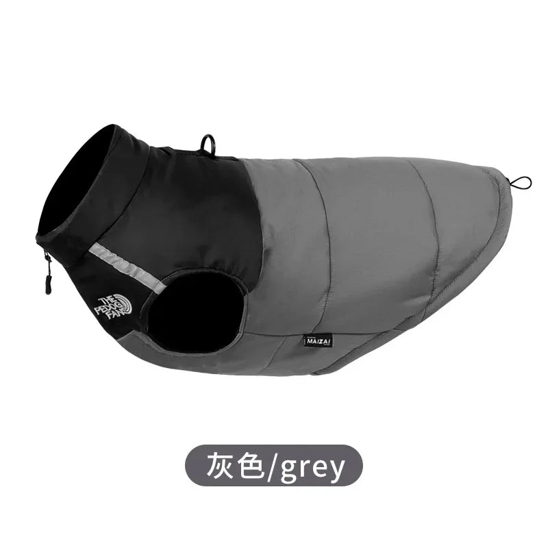 Winter dog jacket – padded, warm, with reflectors