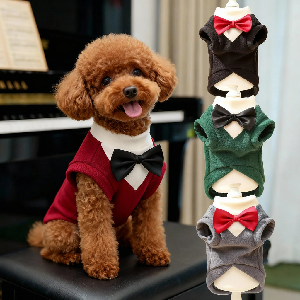 Formal Suits for Small Dogs and Cats – Tuxedo with Bow Tie, Weddings and Celebrations