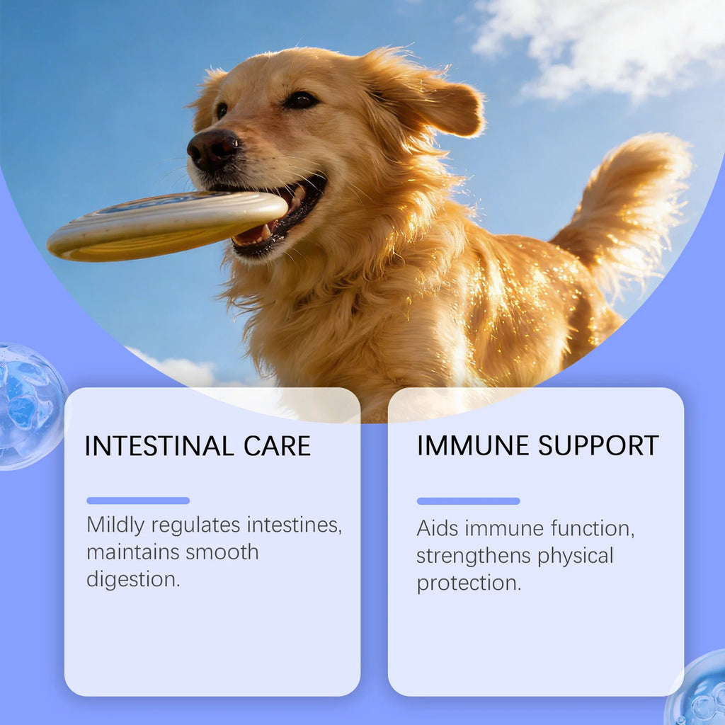 100g Pet Immune Supplement Powder with Reishi Beta-Glucan Probiotics For Adult Dogs Daily Health Care With Natural Ingredients