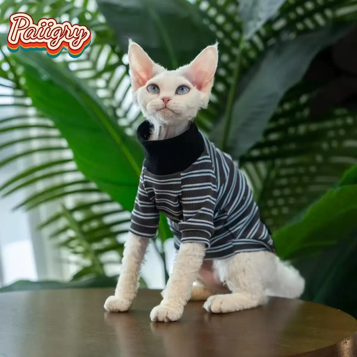 Cat Turtleneck – Summer Wear, XS–XXL