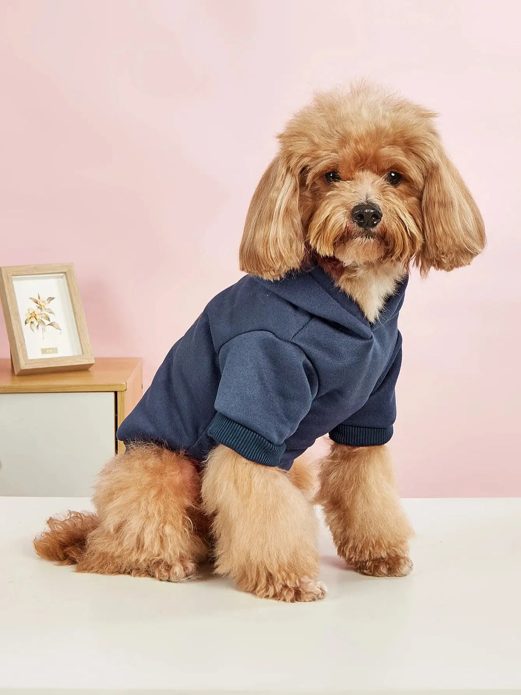 Pet Paw Print Pattern Sweatshirt with Velvet Warmth Suitable for Small, Medium, and Large Dogs Such as Teddy Golden Retrievers