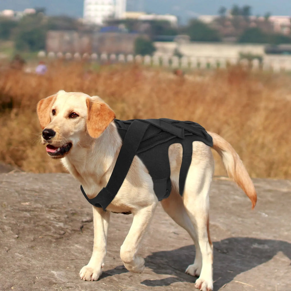Breathable Dog Back Brace Comfortable Pet Back Bracer For IVDD Back Protector Helps Injury Recovery And Rehabilitation S/M/L