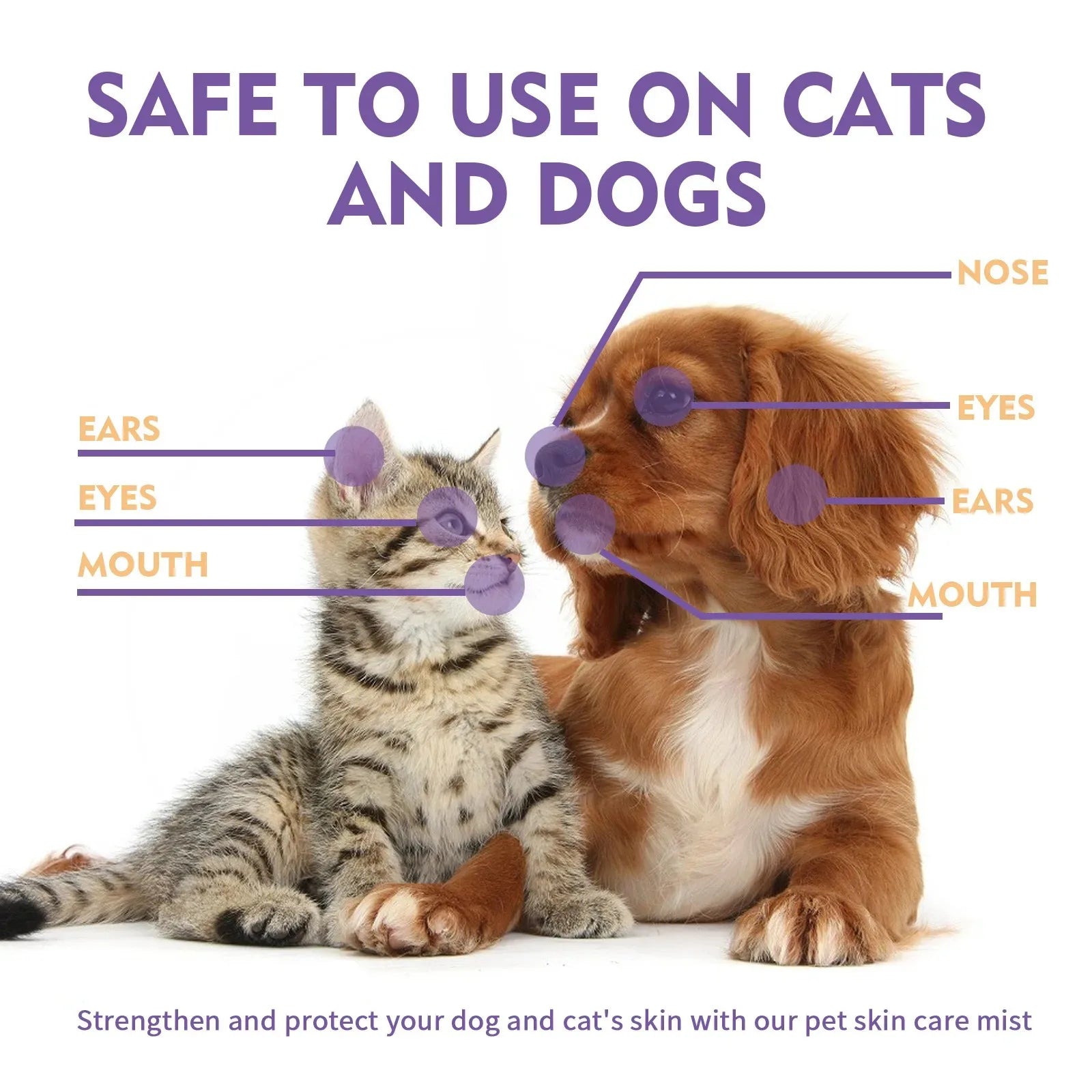 Cat and Dog Hair Dry Cleaning Spray, Skin Care Spray, Pet Flea and Mite Skin Treatment, Pet Wound Repair and Hair Regrowth Serum