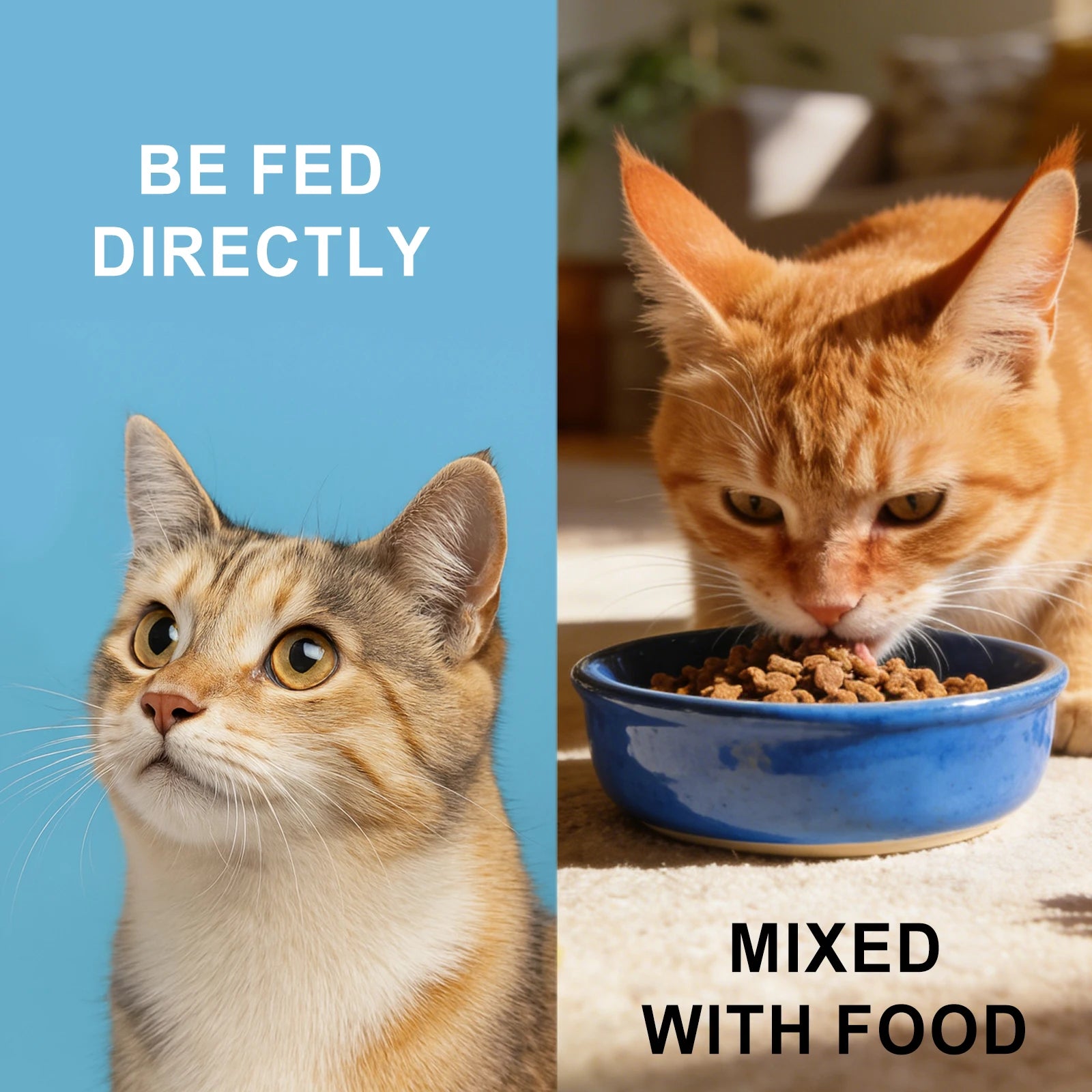 Pet Daily Nutrition Supplement Support Cat Heart Health Stabilize Visual Function Comfortable Body Care Health Nutritional 200g