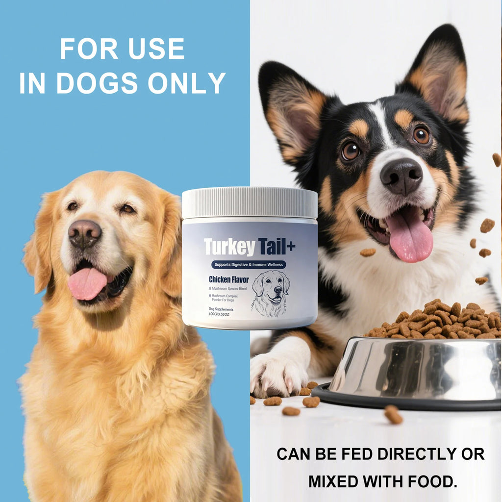 100g Pet Immune Supplement Powder with Reishi Beta-Glucan Probiotics For Adult Dogs Daily Health Care With Natural Ingredients