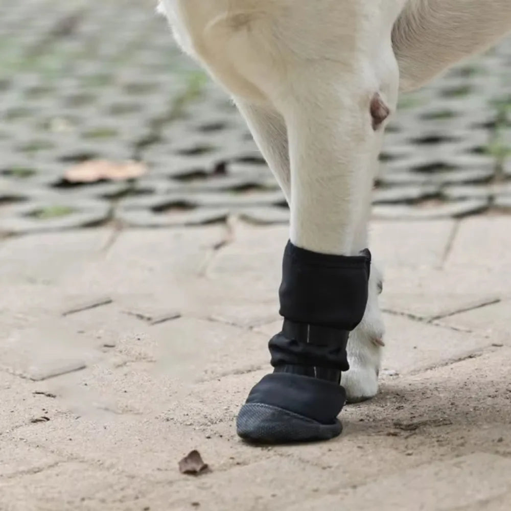 Dog Wound Recovery Boot Paws Protector Waterproof Dog Shoe for Post-Surgical Recovery Healing Protection