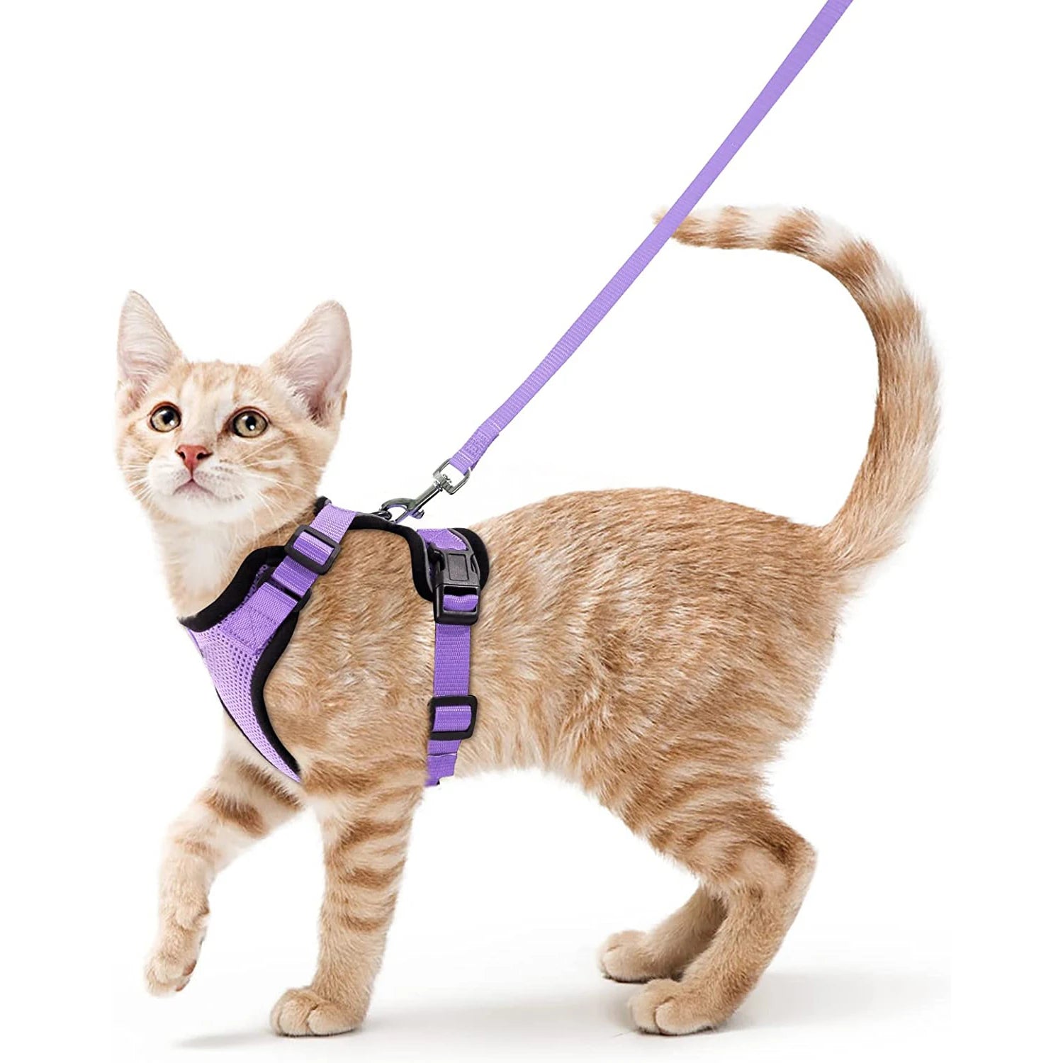 Cat Harness and Leash for Walking, Escape-Proof Soft Adjustable Vest Harnesses for Cats, EasyControl