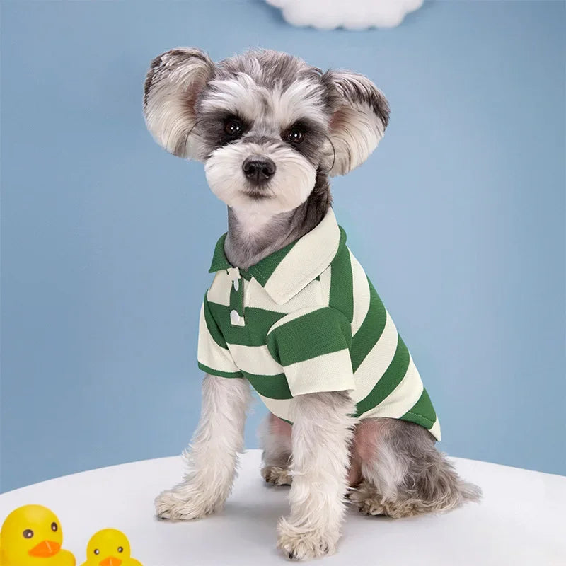 Polo T-shirt for Dogs and Cats – Fashionable T-shirt for Small and Medium Pets