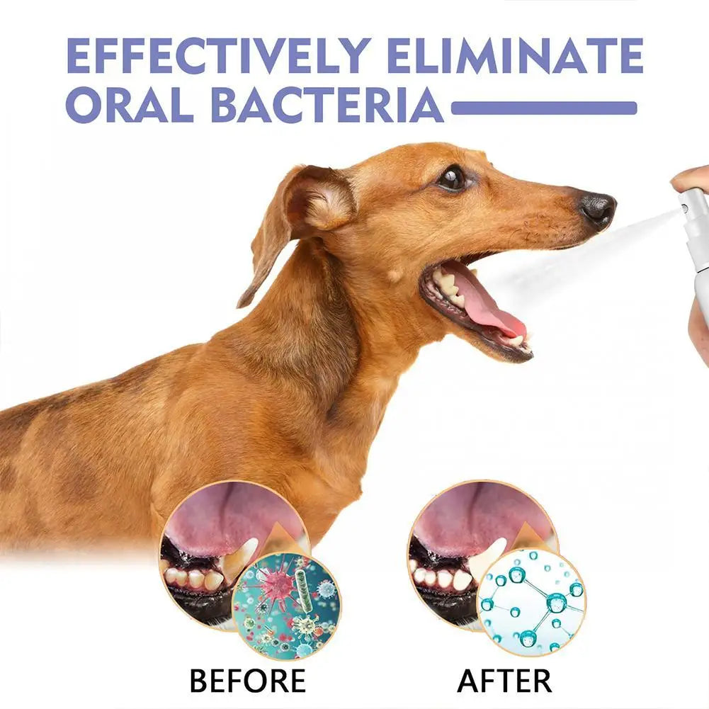 Pet Spray Dog Oral Care 30ml, Pet Freshener, Deodorant for Bad Breath, Teeth Cleaning, Plaque Care Remover, Breath Pet Care