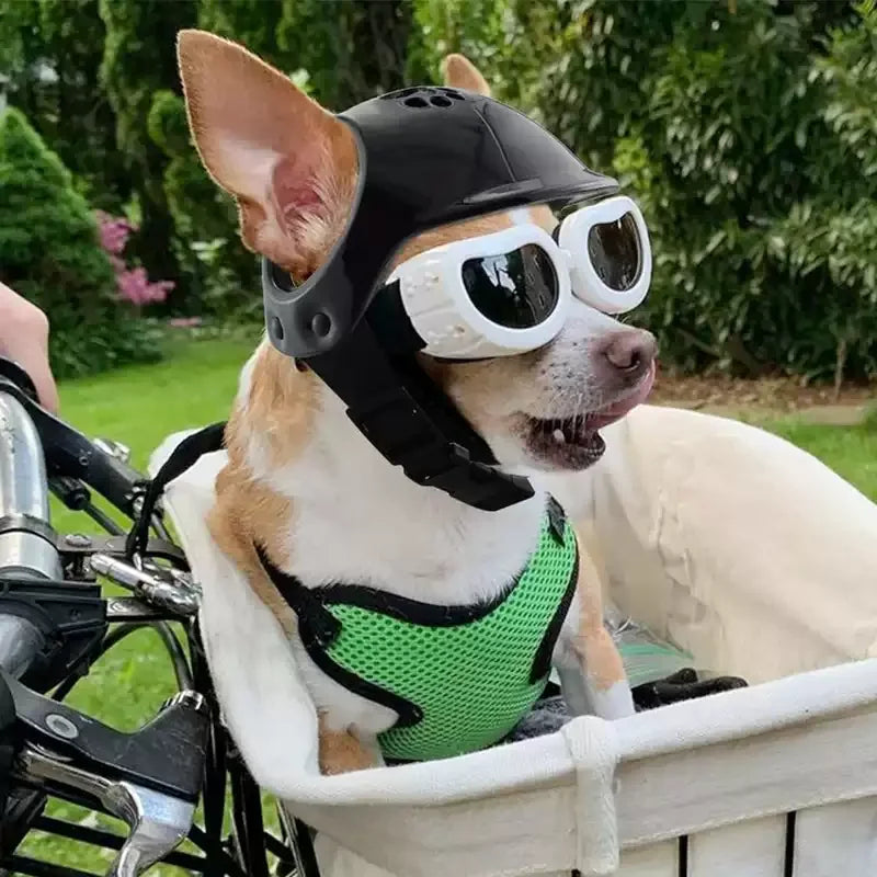 Pet Helmets, Cat Helmet, Dog Helmet - Outdoor Mini Head Protection Safe Hat Dog Motorcycle Helmet Pet Photo Props Accessories