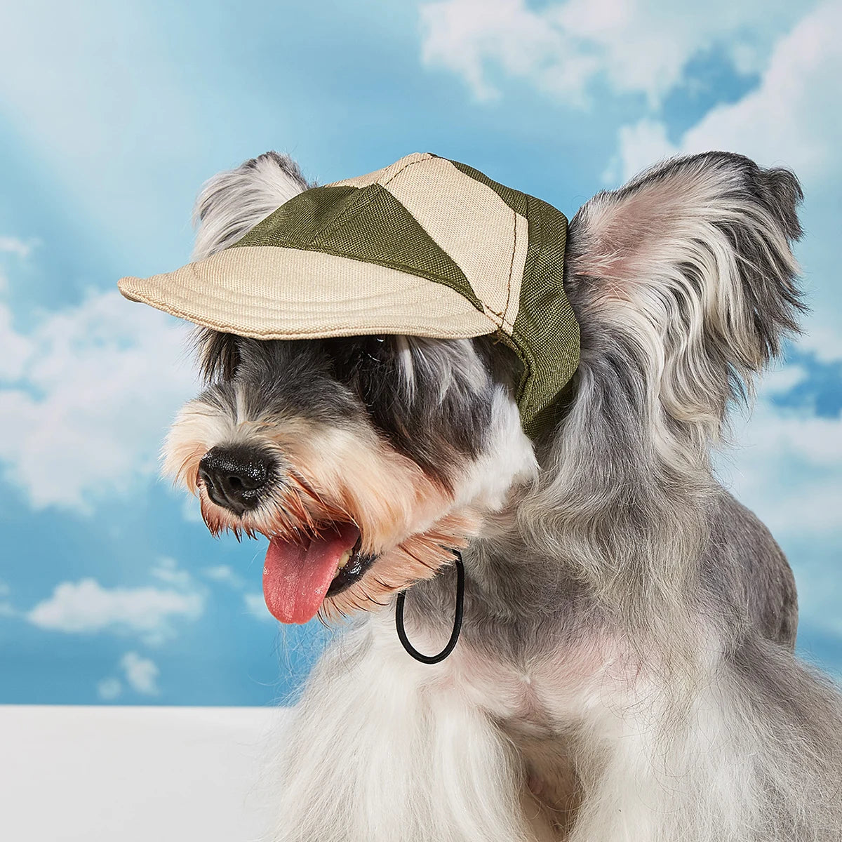 Dog Hat Sun Protection Summer Travel for Small and Medium Dogs, Hats for Chihuahua and French Bulldog