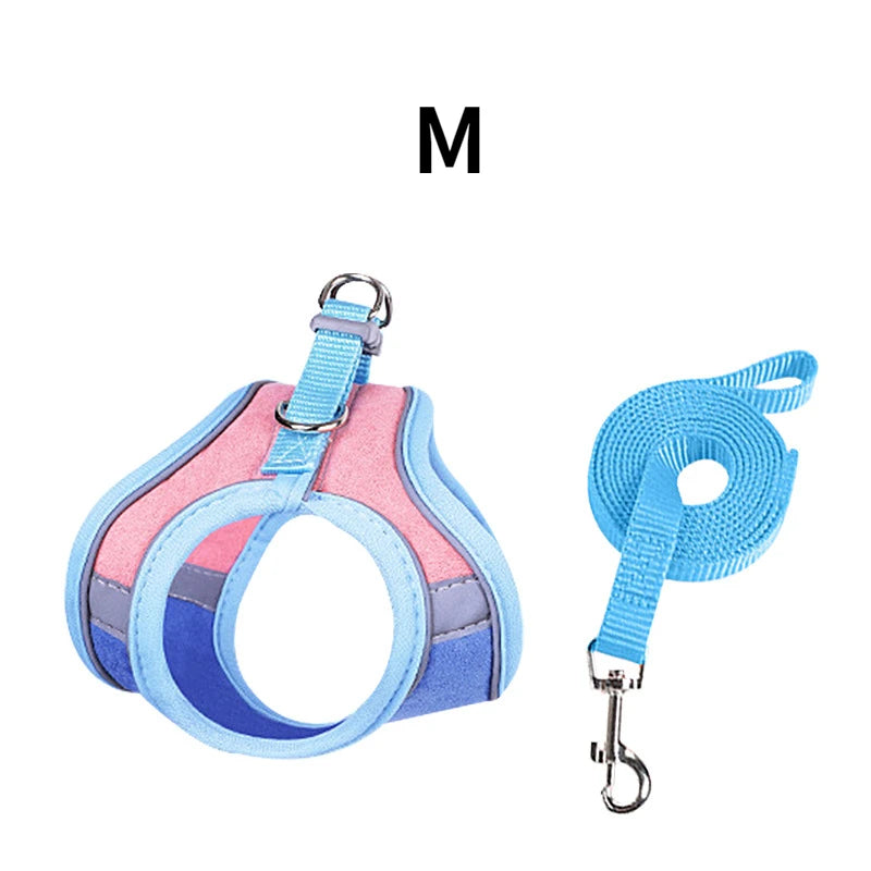 Rabbit Harness and Leash – Reflective Strips, Double Buckle, S/M/L