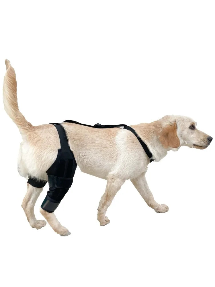 Dog Knee Brace Supports,Better Leg ACL Recovery for dogs,Breathable Pet Braces After Injury Surgery