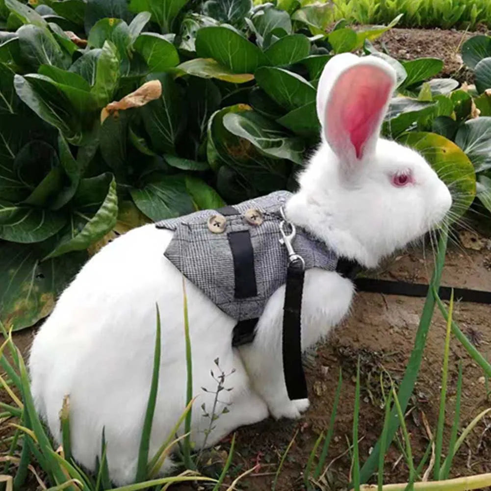 Rabbit Harness with Leash - cotton, gentleman style, for walks and playtime