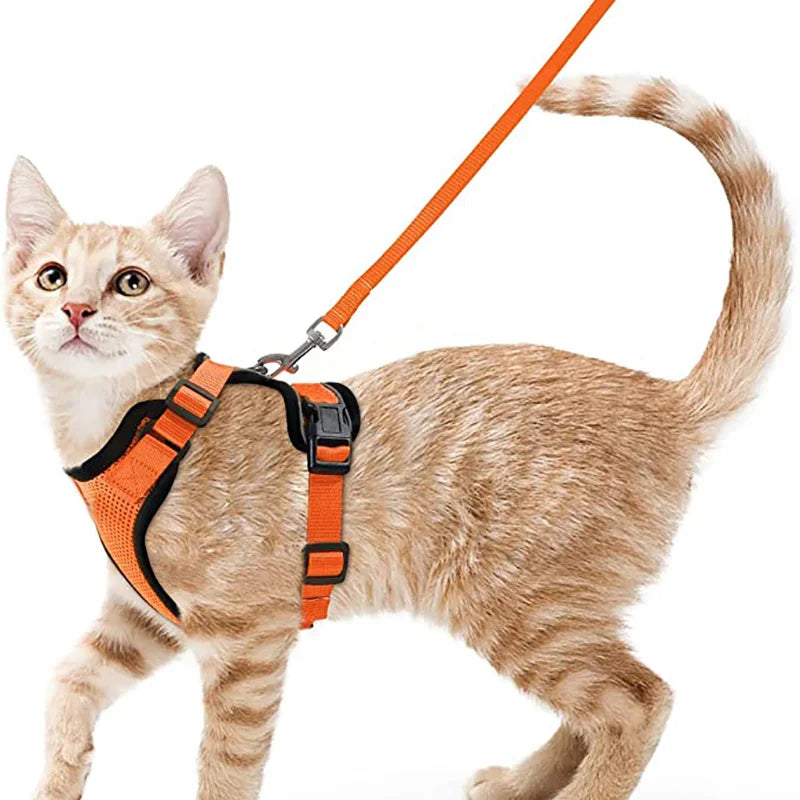 Cat Harness and Leash – soft, adjustable, escape-proof