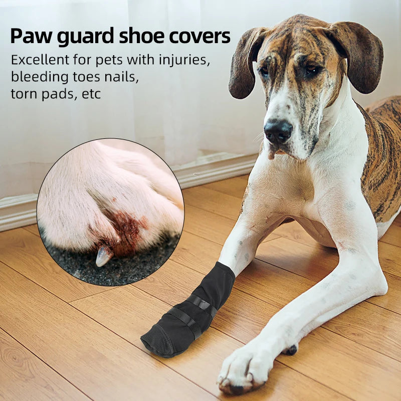 Waterproof dog booties – paw protection for all seasons