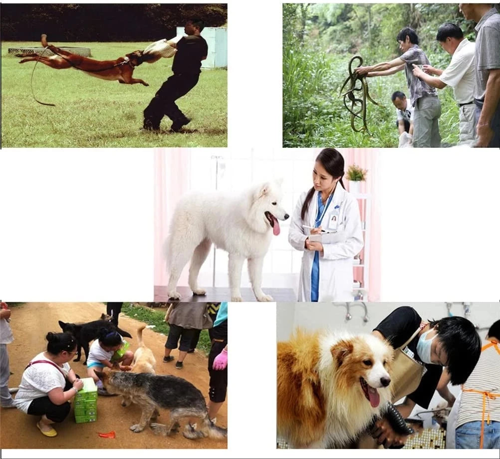 Dog and Cat Animal Anti-Bite Protection Gloves, Cat Scratch and Snake Bite Pet Gloves, Leather Thickened Training Dog Anti-Biting Gloves