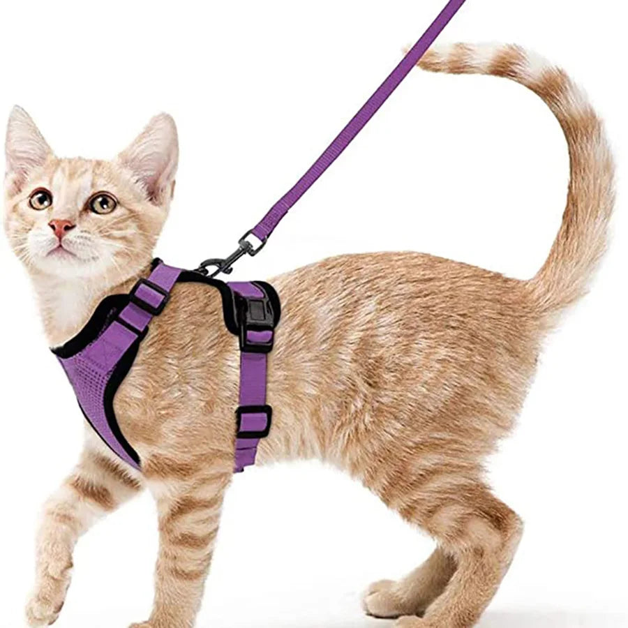 Cat Harness and Leash for Walking, Escape-Proof Soft Adjustable Vest Harnesses for Cats, EasyControl